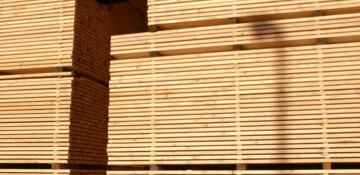 Holz Bohlen 45 x 280 x 3000 mm frisch, roh