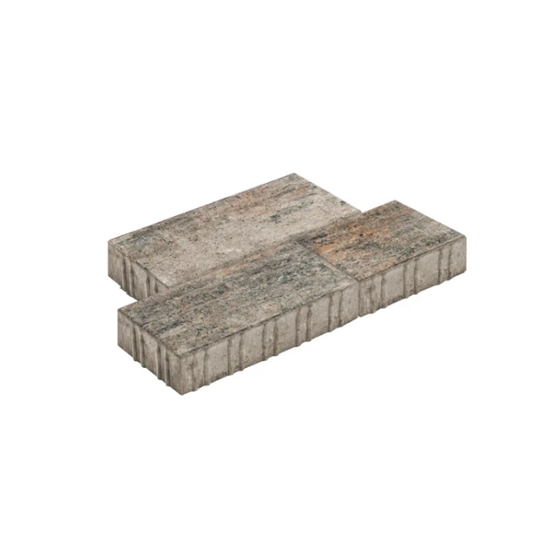 Diephaus Via Lineo Muschelkalk Pe2