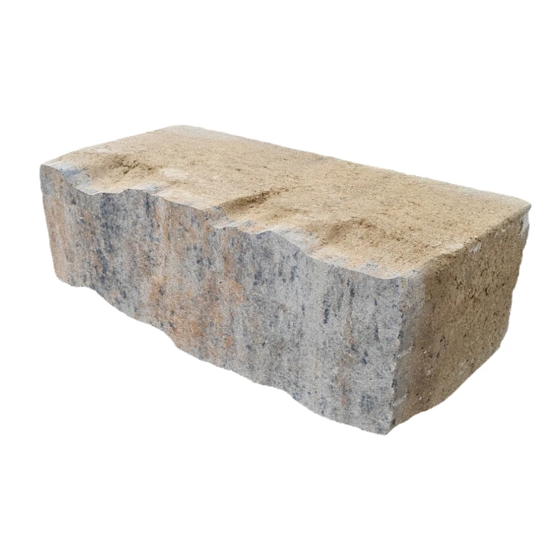 Diephaus Volar Mauer Muschelkalk