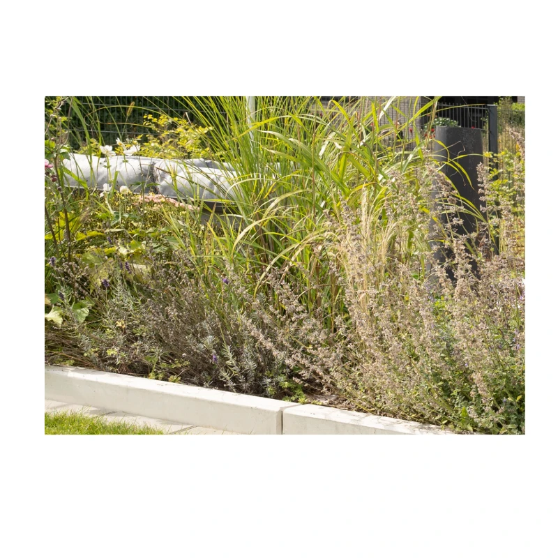 Diephaus Elemento Bordstein Grau 100/25/8 Cm