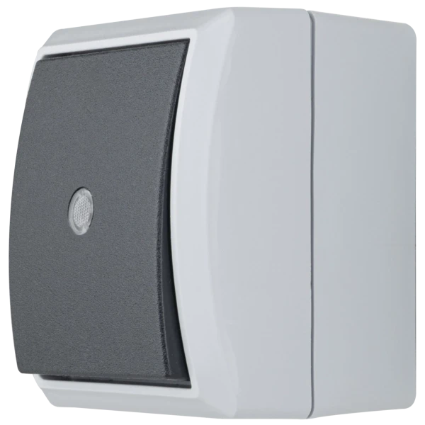 REV AquaForm gr AP Kontroll-Schalt ArtNr. 0511641777