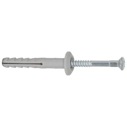 Bever Nageldübel 6 mm Pozi und Unterlegscheibe 100 St/Pak