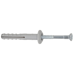 Bever Nageldübel 6x40 mm Pozi und Unterlegscheibe 100 St/Pak